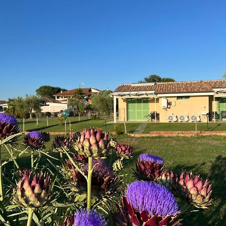 Il Giardino Di Nunzia Villa Principina Terra Eksteriør billede